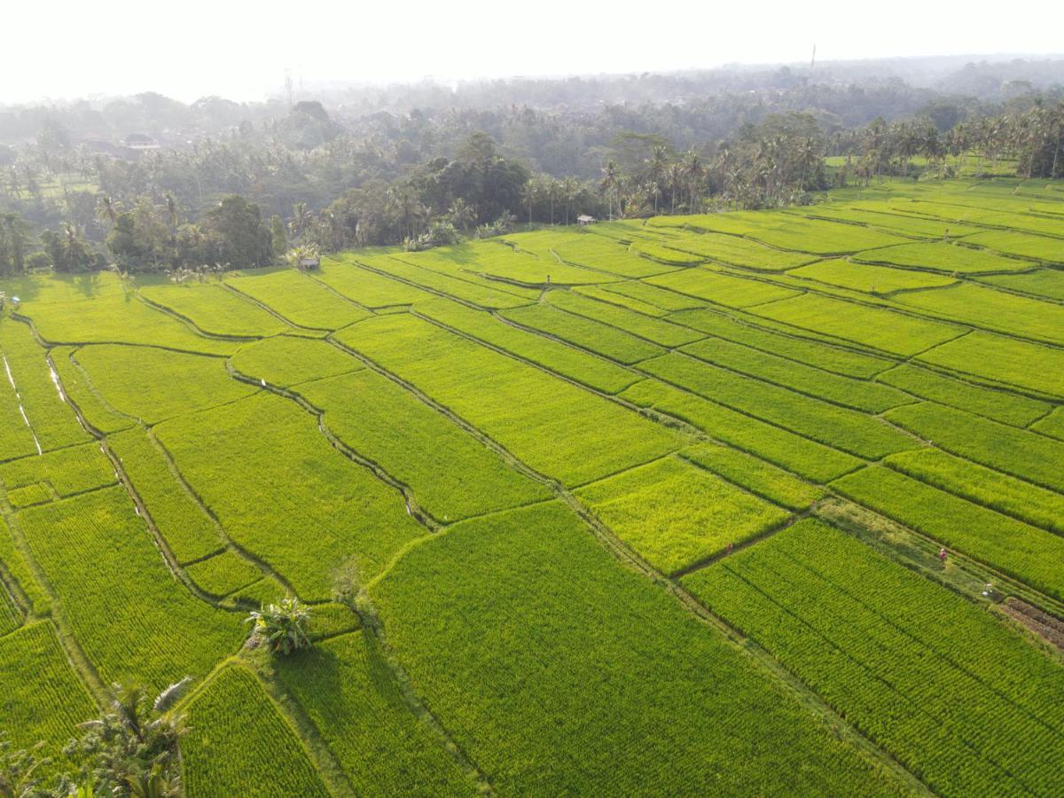 The Sun Of Granary Resort And Villas Ubud  Ngoại thất bức ảnh