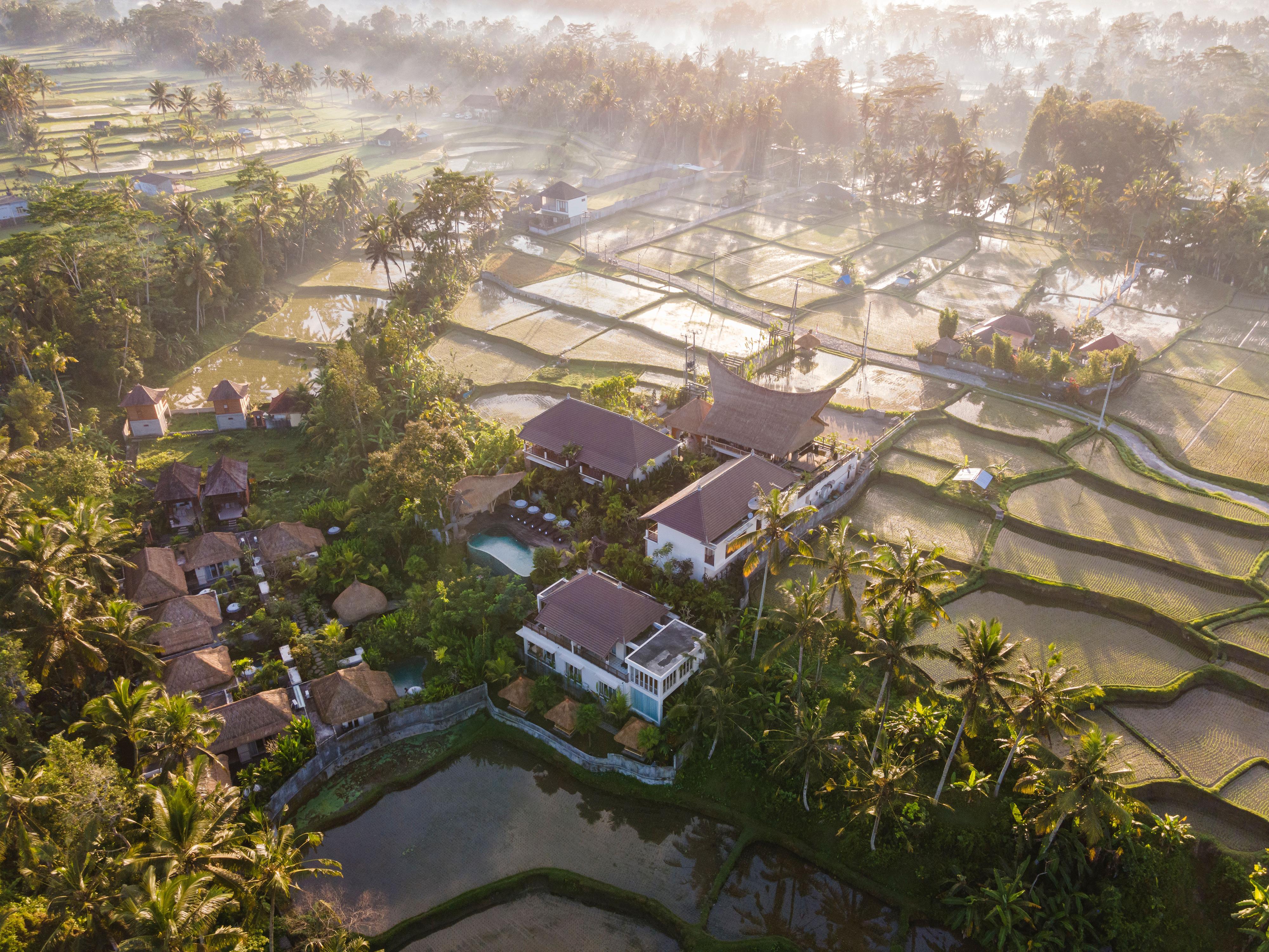 The Sun Of Granary Resort And Villas Ubud  Ngoại thất bức ảnh
